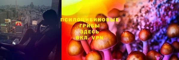 прущая мука Каменка