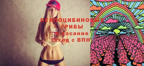 индика Каменск-Шахтинский