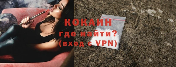 индика Каменск-Шахтинский