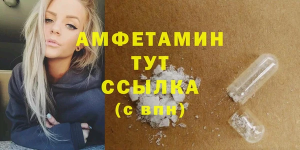 индика Каменск-Шахтинский