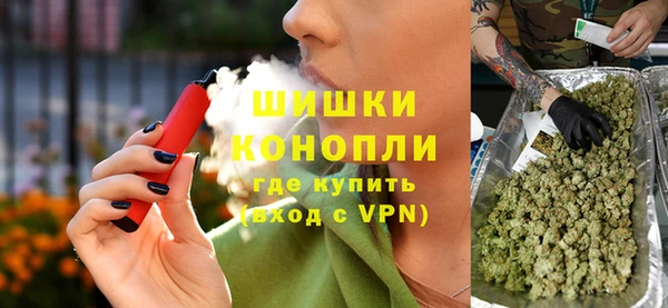 индика Каменск-Шахтинский