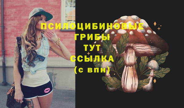 марки lsd Каменногорск