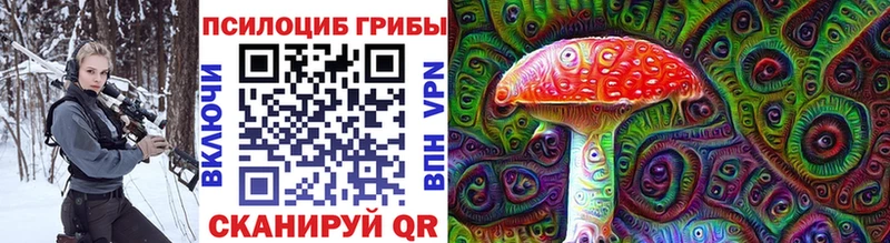 Купить  Снежинск  Галлюциногенные грибы MAGIC MUSHROOMS 